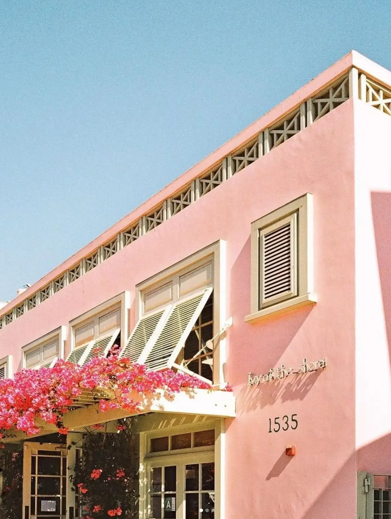 The pink facade of Ivy at the Shore at 1535 Ocean Ave, draped in fuchsia bougainvillea under a clear Santa Monica sky